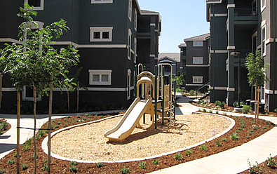 Play Area