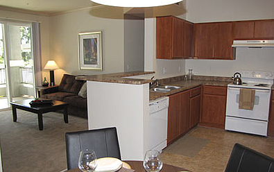 Fully Equipped kitchens with designer cabinets and energy efficent appliances
